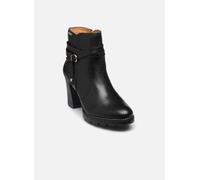 Connelly W7M-8806 by Pikolinos 36 Nero