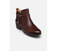Stivaletti in pelle Daroca Marrone 39