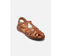 Pikolinos - FORMENTERA W8Q-0803 Marrone - Sandali e scarpe aperte 40 Marrone