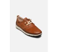 Pikolinos - FUENCARRAL M4A-4266C1 Marrone - Scarpe con lacci 40 Marrone