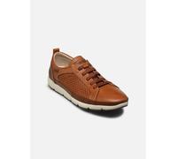 Pikolinos - FUENCARRAL M4A-6376C1 Marrone - Sneakers 43 Marrone