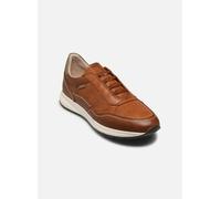 Pikolinos - GETAFE M2B-6284C1 Marrone - Sneakers 44 Marrone