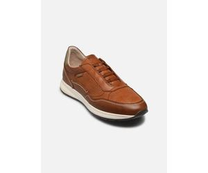 Pikolinos - GETAFE M2B-6284C1 Marrone - Sneakers 44 Marrone