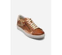Pikolinos - LANZAROTE W7B-6978C3 Marrone - Sneakers 37 Marrone