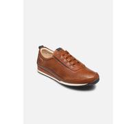 Pikolinos - LIVERPOOL M2A-6252 Marrone - Sneakers 44 Marrone