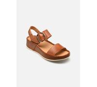 Pikolinos - MARINA W1C-0709 Marrone - Sandali e scarpe aperte 41 Marrone