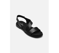 Pikolinos - NAVIA W3E-0652 Nero - Sandali e scarpe aperte 41 Nero