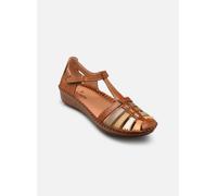 Pikolinos - P. VALLARTA 655-0843C4 Marrone - Sandali e scarpe aperte 40 Marrone
