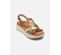 Pikolinos - PALMA W4N-0650C1 Marrone - Sandali e scarpe aperte 40 Marrone