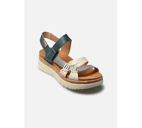 Pikolinos - PALMA W4N-0968 Blu - Sandali e scarpe aperte 39 Blu