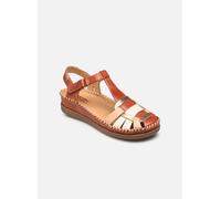 Pikolinos - Sandales -CADAQUES W8K-0965C1 Marrone - Sandali e scarpe aperte 41 Marrone