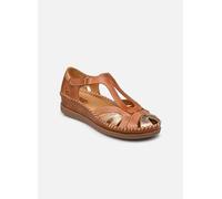 Pikolinos - Sandales CADAQUES W8K-1569C4 Marrone - Sandali e scarpe aperte 36 Marrone