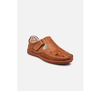 Pikolinos - Sandales -MARBELLA M9A-0051 Marrone - Sandali e scarpe aperte 42 Marrone