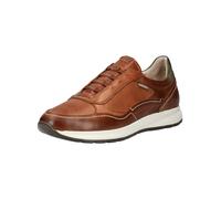PIKOLINOS Sneaker bassa cognac / marrone scuro Uomo PIKOLINOS 43