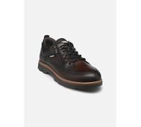 Pikolinos - Vigo M3M-4163C1 Marrone - Sneakers 41 Marrone