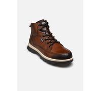 Pikolinos - Vigo M3M-8107C1 Marrone - Sneakers 45 Marrone