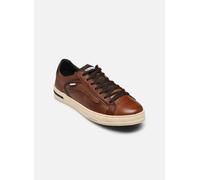 Pikolinos - Xativa M1K-6307C1 Marrone - Sneakers 42 Marrone