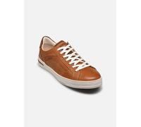 Pikolinos - XATIVA M1K-6307C3 Marrone - Sneakers 44 Marrone