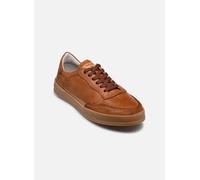 Pikolinos - XATIVA M1K-6383C1 Marrone - Sneakers 41 Marrone