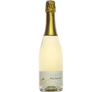 Pilaho 2024 - Pellehaut Vin de France