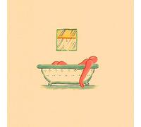 Pile A Hairshirt Of Purpose (CD)