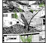 Pile - Odds And Ends