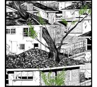 Pile Odds and Ends (CD) Album