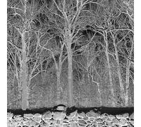 Pile - Sunshine and Balance Beams