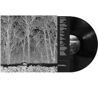 Pile - Sunshine and Balance Beams