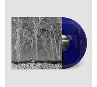 Pile Sunshine and Balance Beams (Vinyl LP)