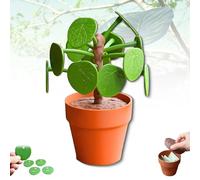 Pilea Food Picker - The Chinese Money Plant - Dinner Decider, 3D Printed Funny Dinner Decider, with Flower Pot Piggy Bank, Pick the leaves and decide what to have for dinner (1PCS)