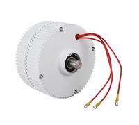 Pilipane Generatore a Doppio Albero da 48 V, Motore Elettrico sincrono a Magnete Permanente trifase, lubrificazione a Grasso ad Alta efficienza, Design Compatto per Turbine eoliche (300 W.)
