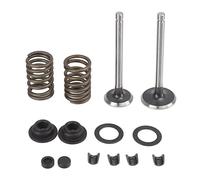 Pilipane Kit Stelo valvola generatore Microtiller, rondella Elastica anticorrosione Resistente all'Usura in Ferro, Set di Clip di bloccaggio per generatore raffreddato ad Aria Modello 186F