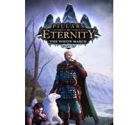 Pillars of Eternity: The White March Part II (DLC) (PC) Steam Key EUROPE