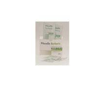 PILOSELLA BERBERIS 30BUST