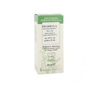 Pilosella 60ml Gtt