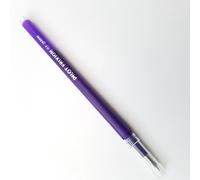 Pilot FriXion Ricariche Inchiostro Cancellabile 0,7mm Punta Media Colori Vari