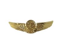 Pilota Ufficiale di volo Ali Badge Navigazione Compagnie aeree Aviazione civile Distintivo in metallo Spilla Spille Medaglia delle monete della sfida(3)