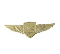 Pilota Ufficiale di volo Ali Badge Navigazione Compagnie aeree Aviazione civile Distintivo in metallo Spilla Spille Medaglia delle monete della sfida(8)