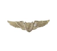 Pilota Ufficiale di volo Ali Badge Navigazione Compagnie aeree Aviazione civile Distintivo in metallo Spilla Spille Medaglia delle monete della sfida(7)
