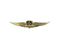 Pilota Ufficiale di volo Ali Badge Navigazione Compagnie aeree Aviazione civile Distintivo in metallo Spilla Spille Medaglia delle monete della sfida(19)