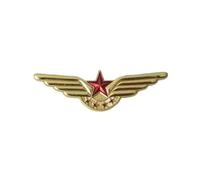 Pilota Ufficiale di volo Ali Badge Navigazione Compagnie aeree Aviazione civile Distintivo in metallo Spilla Spille Medaglia delle monete della sfida(6)