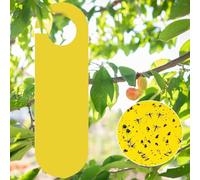 pilyero 20 Pezzi Trappola Moscerini, Trappole Formiche per Casa, Formiche, Trappola per Moscerini, Carta Moschicida, Anti Cimici, Comoda ed Efficace, Per una Vasta Gamma di Zanzare