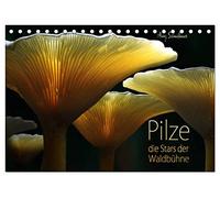 Pilze - die Stars der Waldbühne (Tischkalender 2026 DIN A5 quer), CALVENDO Monatskalender: Waldpilze - nicht der Wert sondern die Form und Farbe steht hier im Fokus