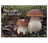 Pilze finden - das ganze Jahr! (Tischkalender 2027 DIN A5 quer), CALVENDO Monatskalender: Heimische Speisepilze in Zuordnung zu ihrem Wachstumsmonat