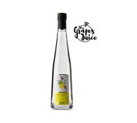 PILZER ACQUAVITE DI PERE WILLIAMS TRENTINO ALTO ADIGE