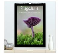 Pilzgalerie - Die geheimnisvolle Welt der heimischen Pilze (hochwertiger Premium Wandkalender 2026 DIN A2 hoch), Kunstdruck in Hochglanz: Herrliche Pilzaufnahmen im Hochformat