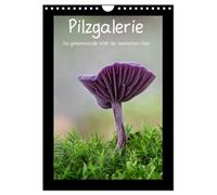 Pilzgalerie - Die geheimnisvolle Welt der heimischen Pilze (Wandkalender 2026 DIN A4 hoch), CALVENDO Monatskalender: Herrliche Pilzaufnahmen im Hochformat
