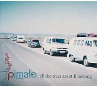 PIMALO - ALL THE TREES ARE MOVING