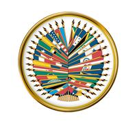 Pin Badge OAS Organizzazione Degli Stati Americani